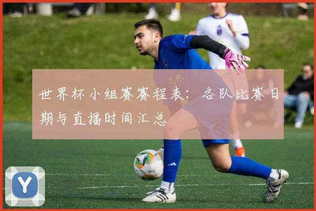 世界杯小组赛赛程表：各队比赛日期与直播时间汇总