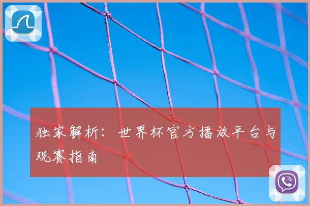 独家解析：世界杯官方播放平台与观赛指南
