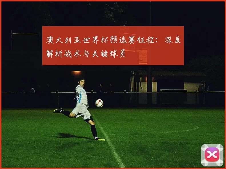 澳大利亚世界杯预选赛征程：深度解析战术与关键球员