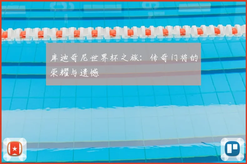 库迪奇尼世界杯之旅：传奇门将的荣耀与遗憾