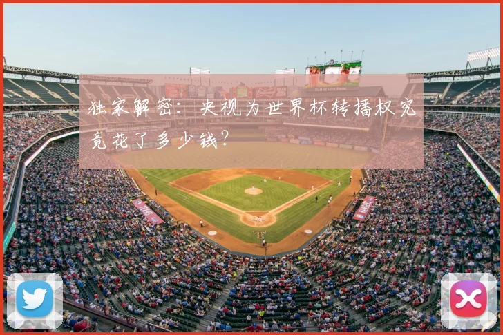 独家解密：央视为世界杯转播权究竟花了多少钱？