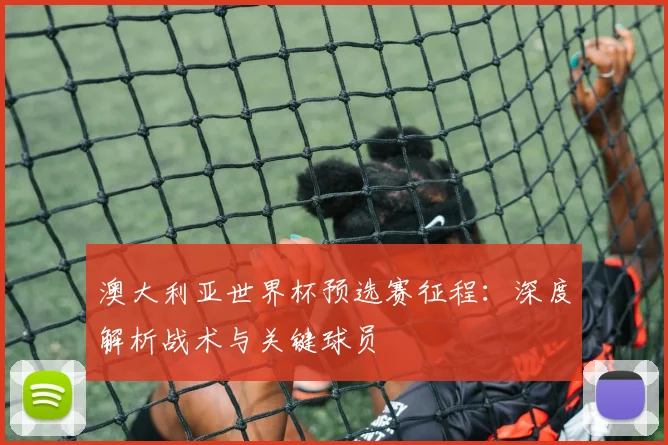 澳大利亚世界杯预选赛征程：深度解析战术与关键球员