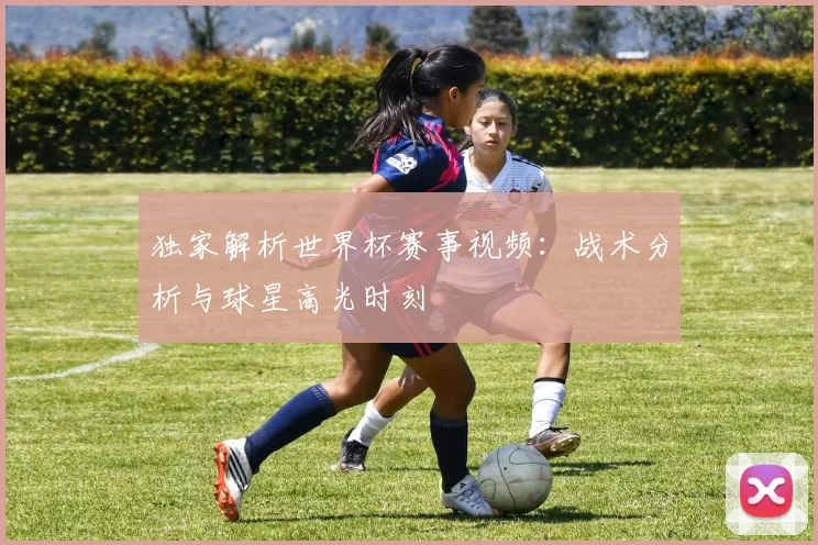 独家解析世界杯赛事视频：战术分析与球星高光时刻