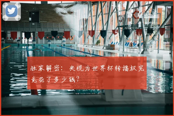 独家解密：央视为世界杯转播权究竟花了多少钱？