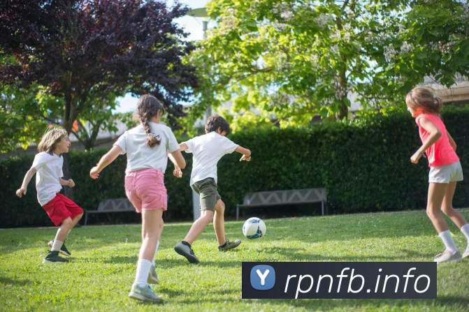 九游官网在线入口APP 封面图